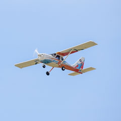 Free Introductory Flights