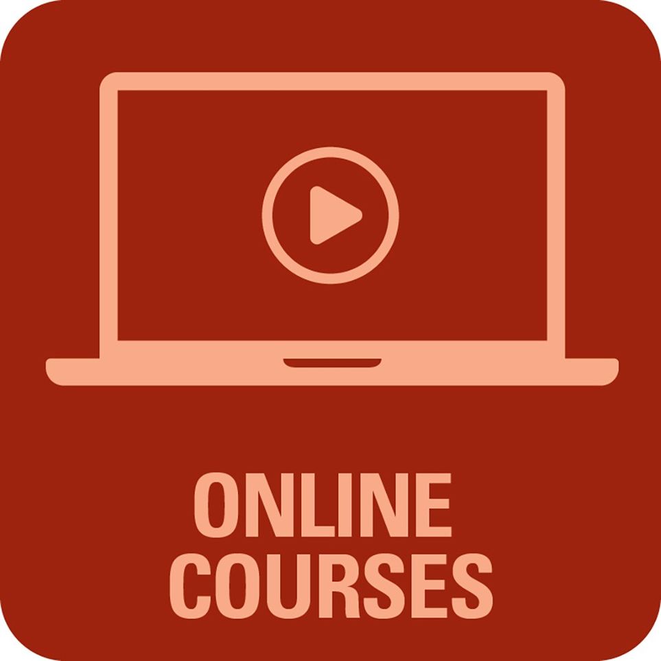 EAA SportAir Online